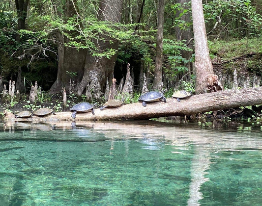 leave no trace, outdoors adventures, lake camping
